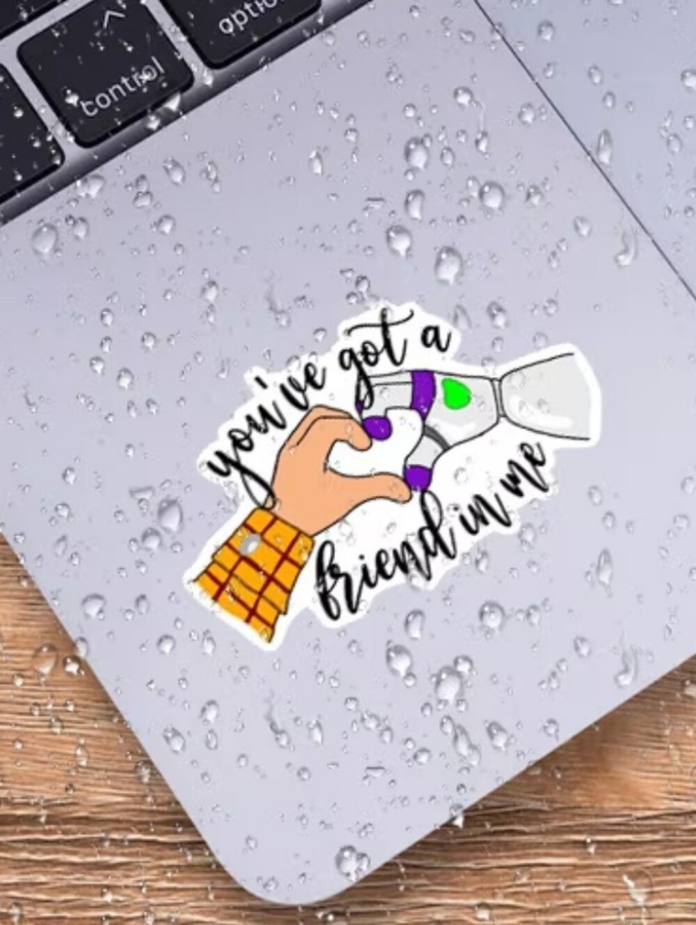 2$ Add On⭐ You've Got A Friend In Me Sticker